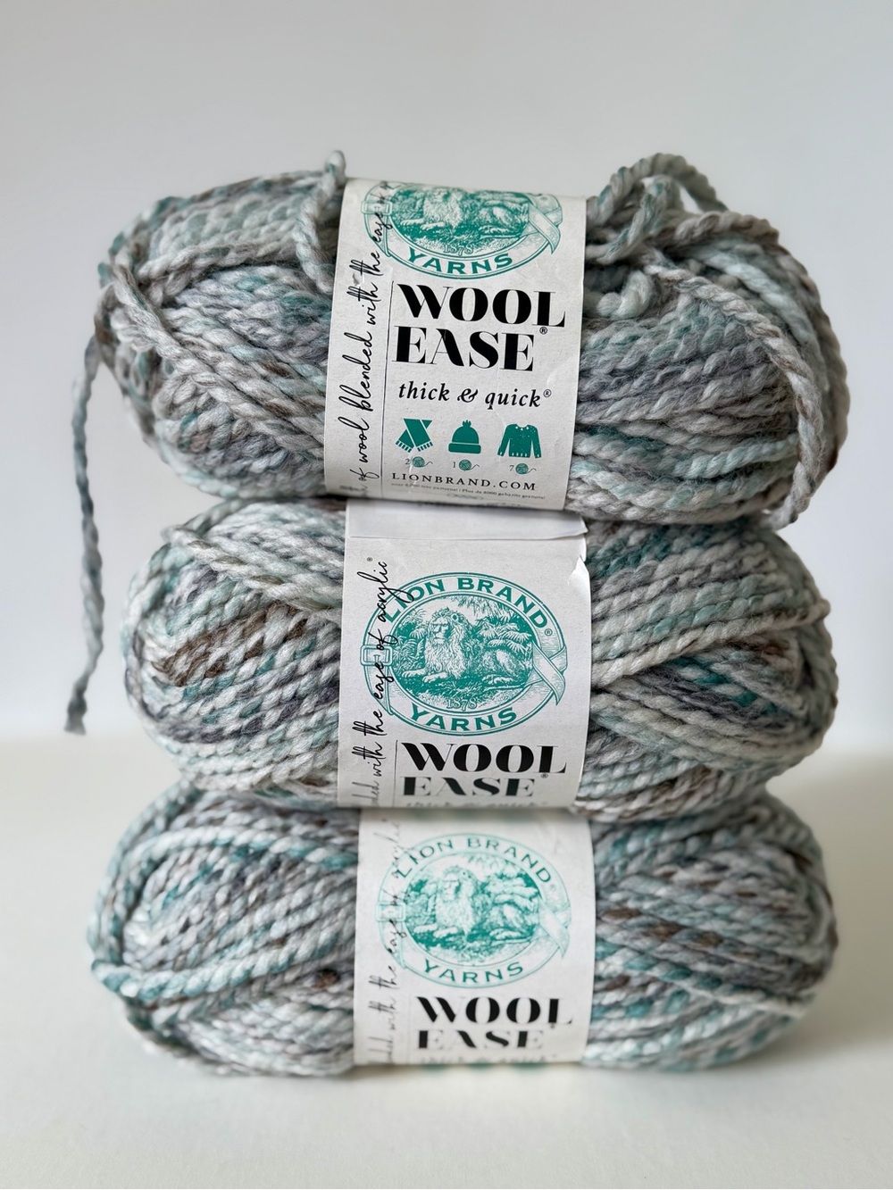 Lion Brand Yarn Wool Ease Thick & Quick Super Bulky SEAGLASS Lot of 2 Plus Bonus